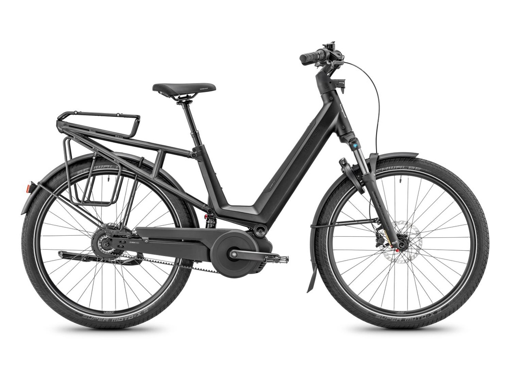 MOUSTACHE MARDI 27.6 FS SUSPENDU