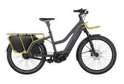 [F01186_11160401081712064514] Riese &amp; Müller Multicharger2 Mixte GT vario / utility grey/curry matt / 47 cm / Cockpit Intuvia 100 / 750Wh / Porte-bagages avant Cargo / Option GX / Kit Passenger / Safety bar kit avec protection complète / Sacoches Cargo / Code de configuration F01186_11160401081712064514